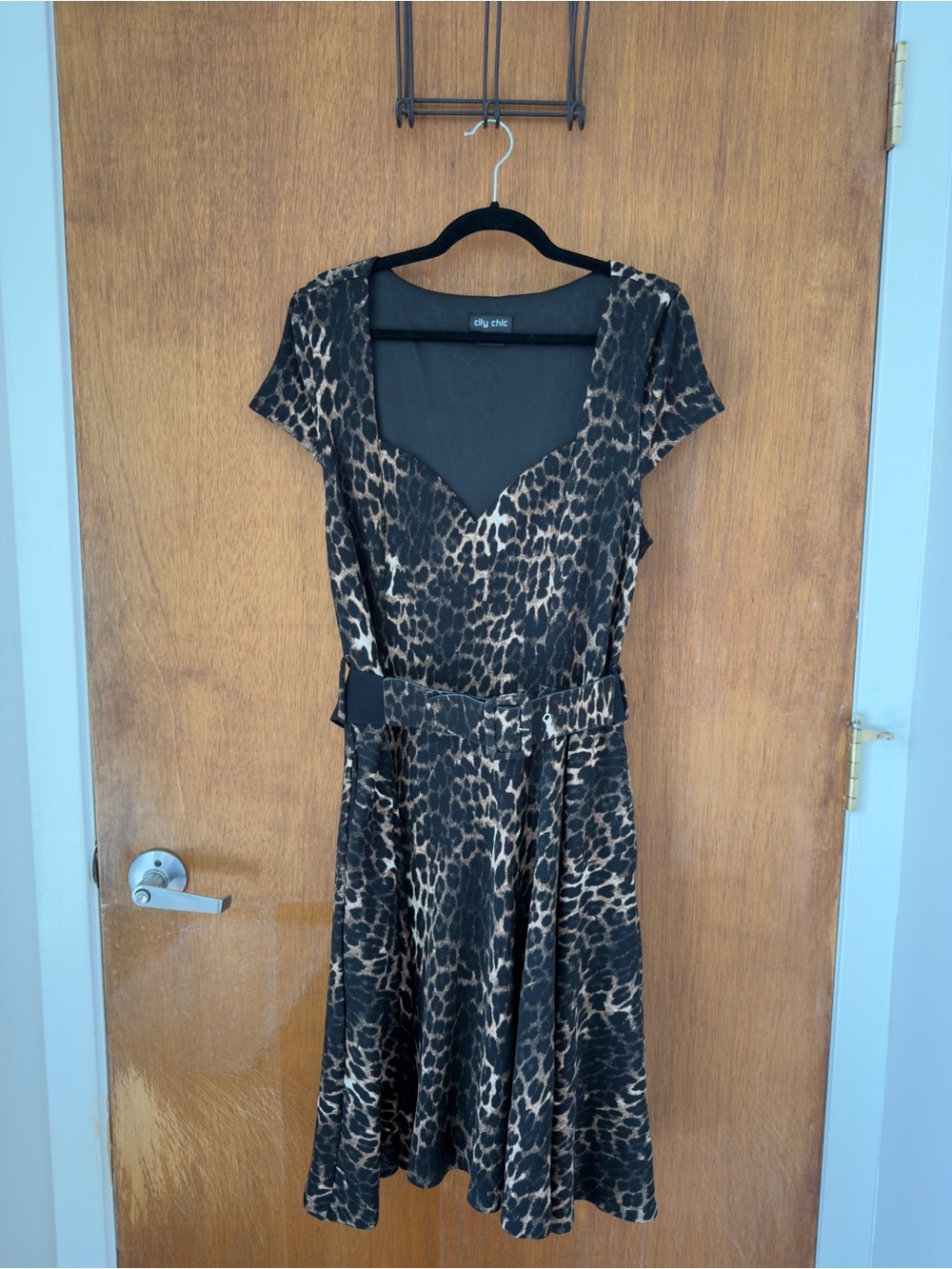 City Chic Leopard Print Skater A-Line Dress in Leopard
